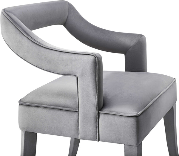 Tiffany Grey Velvet Chair Model: TOV-A210