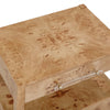 Brandyss Honey Burl Nightstand Model: TOV-B54387