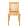 Amara Rattan Performance Fabric Dining Chair Model: TOV-D44150