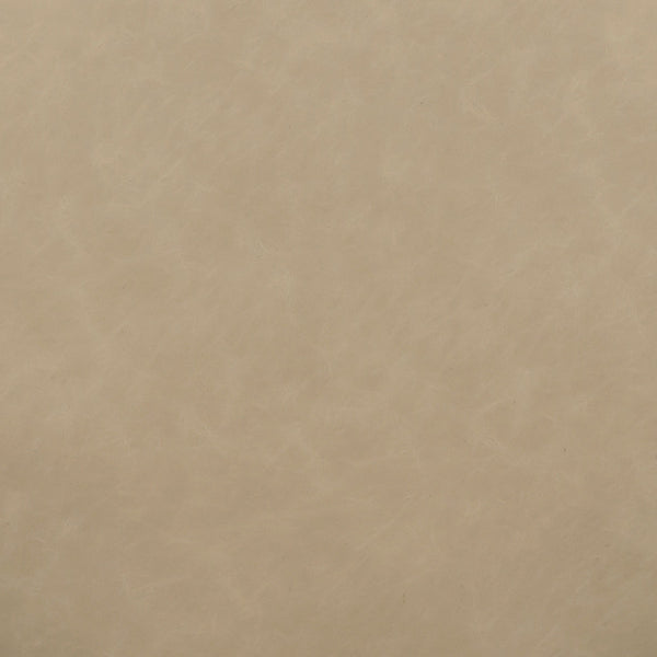 Odessa Cream Vegan Leather Dining Chair Model: TOV-D54436