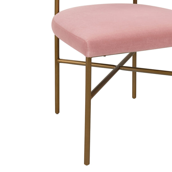 Kim Velvet Chair in Blush Model: TOV-D6432