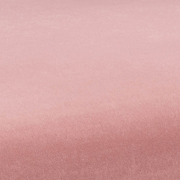 Kim Velvet Chair in Blush Model: TOV-D6432