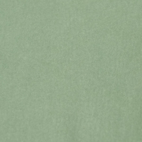 Gardenia Moss Green Velvet Dining Chair Model: TOV-D68137