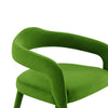Lucia Green Velvet Dining Chair Model: TOV-D68417