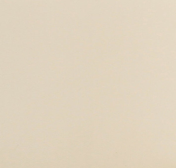 Leo Cream Performance Vegan Leather Dining Chair Model: TOV-D68992