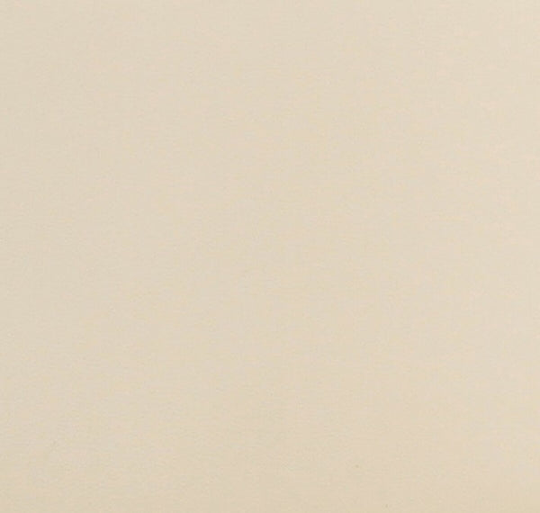 Maxine Cream Performance Vegan Leather Dining Chair Model: TOV-D68993