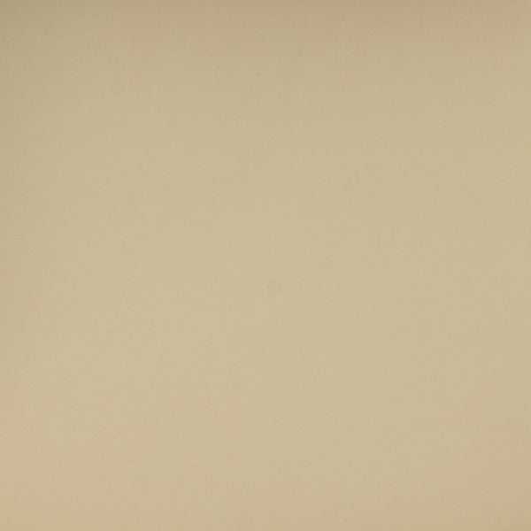 Betsy Taupe Vegan Leather Dining Chair Model: TOV-D69046