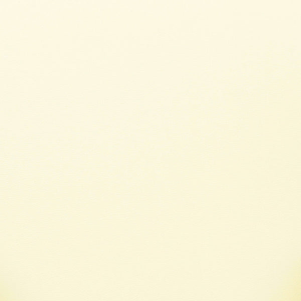 Tatum Cream Performance Vegan Leather Dining Chair Model: TOV-D69051