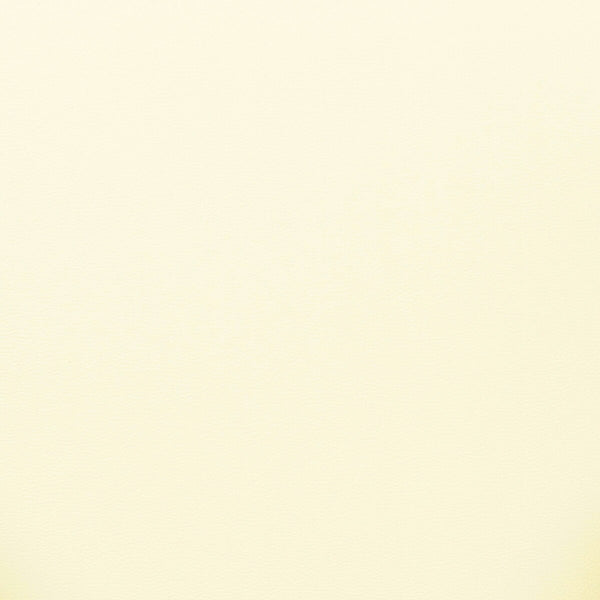 Sezanne Cream Vegan Leather Dining Chair Model: TOV-D69057