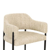 Sezanne Taupe Textured Performance Boucle Dining Chair Model: TOV-D69059