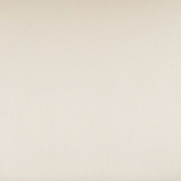 Calla Cream Performance Velvet Dining Chair Model: TOV-D69102