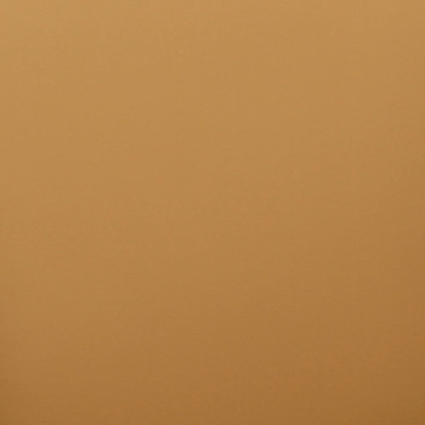 Leo Tan Performance Vegan Leather Dining Chair Model: TOV-D69152