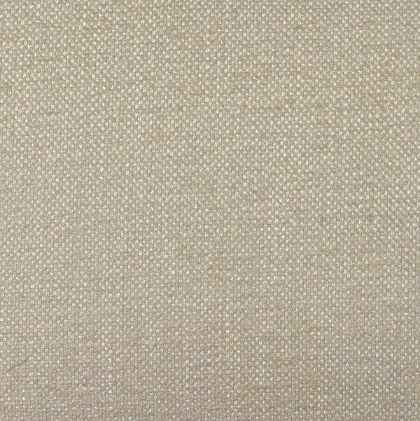 Tiara Cream Performance Basketweave Fabric Dining Chair Model: TOV-D69246