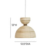 Lydia Rattan Pendant Lamp Model: TOV-G18485