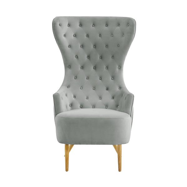 Jezebel Grey Velvet Wingback Chair by Inspire Me! Home Decor Model: TOV-IHS68207