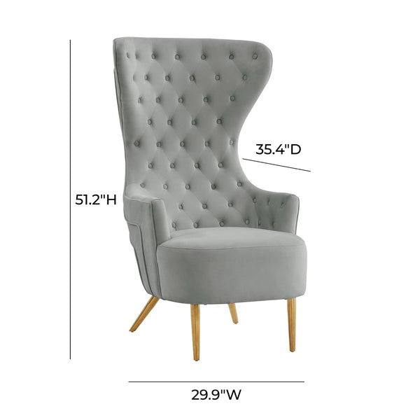 Jezebel Grey Velvet Wingback Chair by Inspire Me! Home Decor Model: TOV-IHS68207