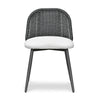 Alexa Black Rattan Performance Fabric Dining Chair Model: TOV-O69284