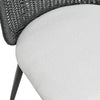 Alexa Black Rattan Performance Fabric Dining Chair Model: TOV-O69284
