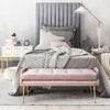 Eileen Blush Slub Velvet Bench Model: TOV-OC119
