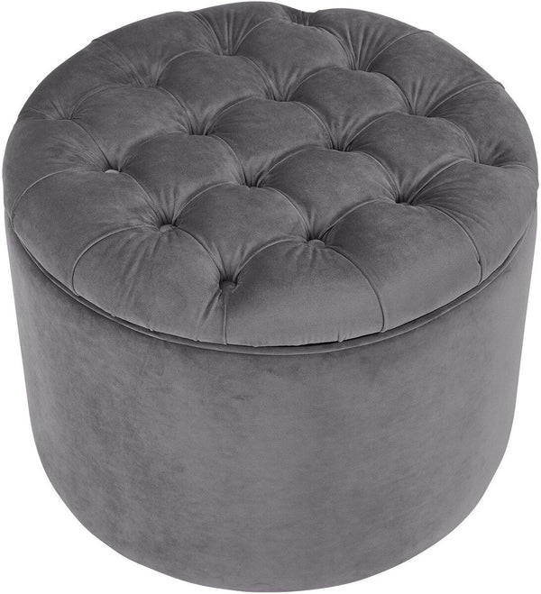 Queen Grey Velvet Storage Ottoman Model: TOV-OC145