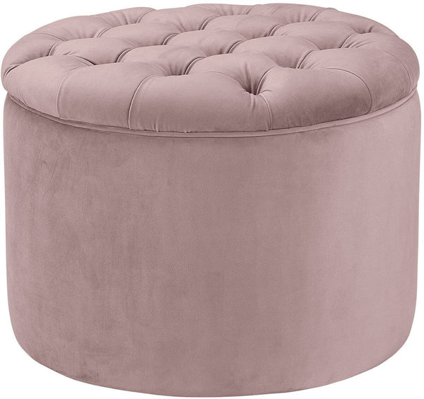 Queen Blush Velvet Storage Ottoman Model: TOV-OC146