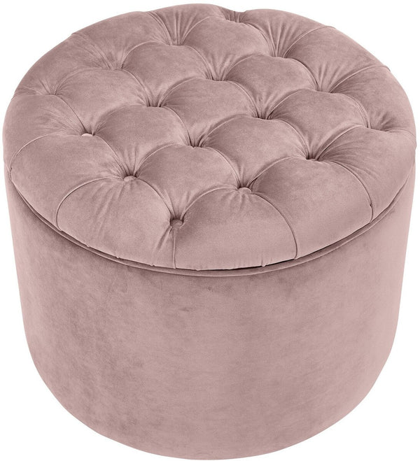 Queen Blush Velvet Storage Ottoman Model: TOV-OC146