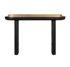 Braden Black Desk/Console Table Model: TOV-OC44056