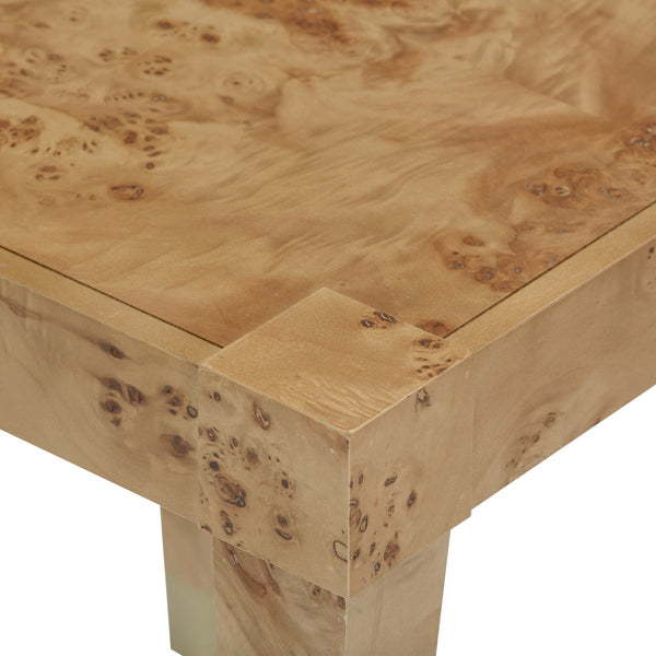Brandyss Honey Burl End Table Model: TOV-OC54388