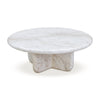 Juju Marble Indoor/Outdoor 32" Short Coffee Table Model: TOV-OC54401