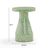 Halio Green Shell Side Table Model: TOV-OC54402