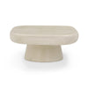 Darial Sandstone Indoor/Outdoor Coffee Table Model: TOV-OC54468