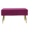 Ziva Plum Storage Bench Model: TOV-OC6464