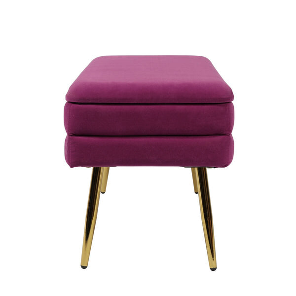 Ziva Plum Storage Bench Model: TOV-OC6464
