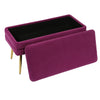 Ziva Plum Storage Bench Model: TOV-OC6464