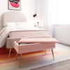 Ziva Blush Storage Bench Model: TOV-OC6465