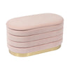 Lillian Blush Velvet Storage Bench Model: TOV-OC68151
