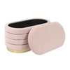 Lillian Blush Velvet Storage Bench Model: TOV-OC68151