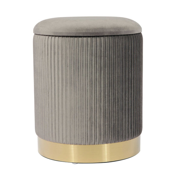Zoe Grey Velvet Storage Ottoman Model: TOV-OC68156
