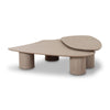Rhema Washed Ash Nesting Coffee Table Set Model: TOV-OC69083-84