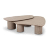 Rhema Washed Ash Nesting Coffee Table Set Model: TOV-OC69083-84