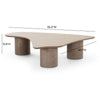 Rhema Washed Ash Nesting Coffee Table Set Model: TOV-OC69083-84