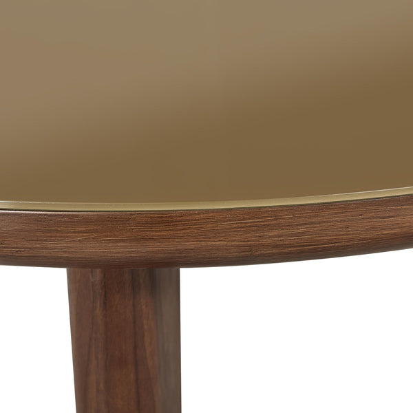 Oani Walnut and Glass Round Coffee Table Model: TOV-OC69238
