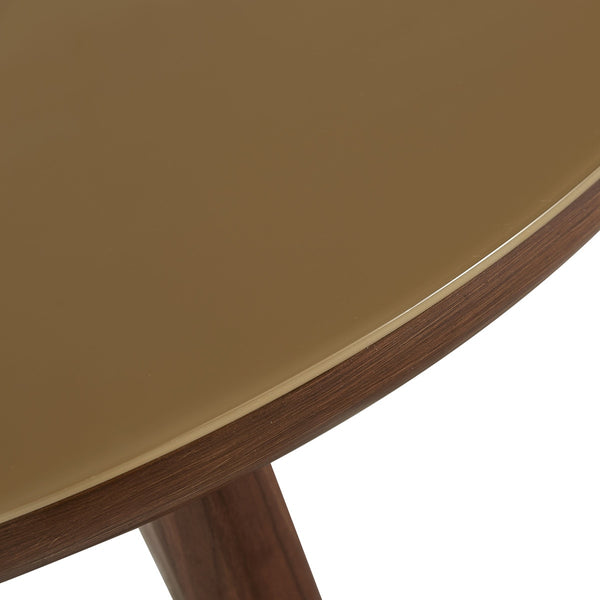 Oani Walnut and Glass Round Coffee Table Model: TOV-OC69238
