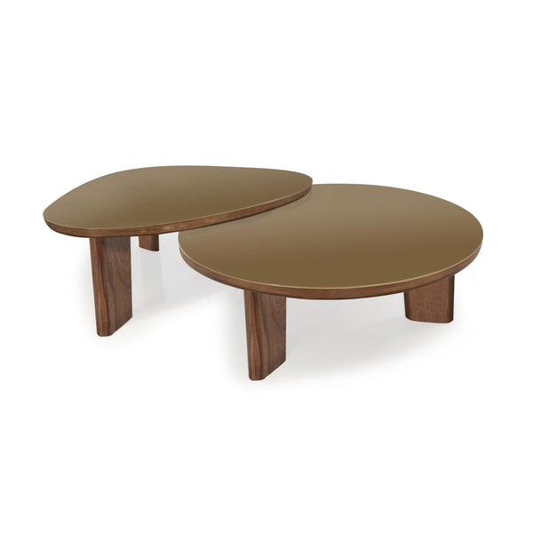 Oani Walnut and Glass Round Coffee Table Model: TOV-OC69238