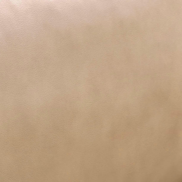 Chakka Tan Genuine Leather Accent Chair Model: TOV-S54256