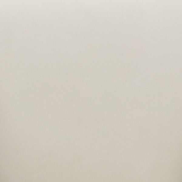 Jordan Cream Velvet Swivel Chair Model: TOV-S54373