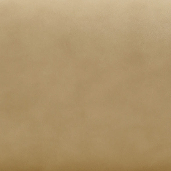 Bekah Tan Genuine Leather Accent Chair Model: TOV-S54392