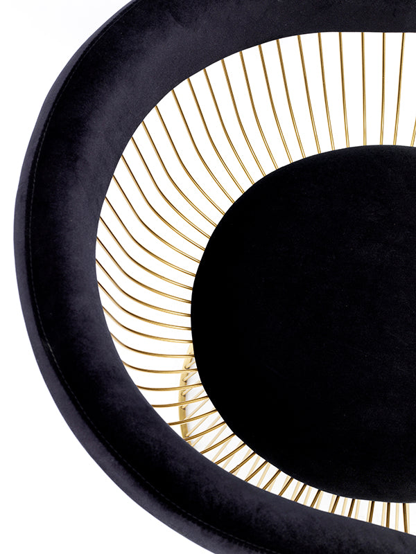 Modrest Chandler Black Velvet & Gold Dining Chair Model VGZAY007-BLKGLD