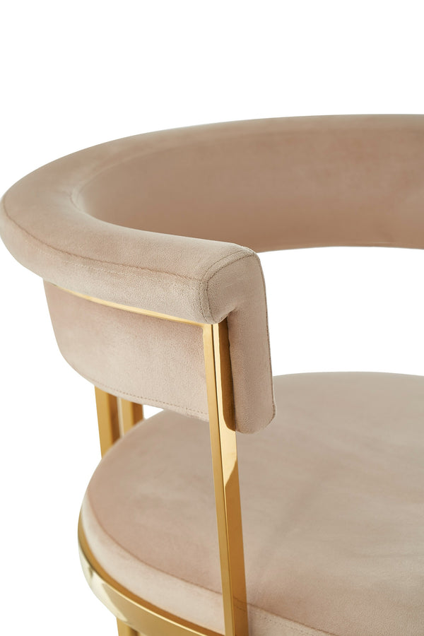 Modrest Munith Modern Beige Velvet & Gold Dining Chair Model VGZA-Y9504-BGEGLD
