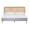 Kavali Grey Queen Bed Model: TOV-B44120